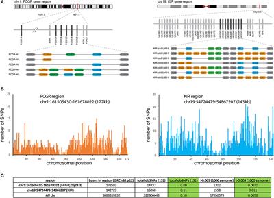 Effect of Fc Receptor Genetic Diversity on HIV-1 Disease Pathogenesis